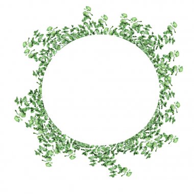 Beyaz arka plan üzerinde izole taze eucalypt garland. El suluboya resim çekilmiş.