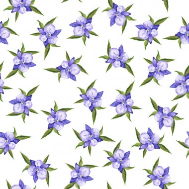 Menekşe bellflowers ve beyaz zemin üzerine yeşil yaprakları ile Seamless modeli. El suluboya resim çekilmiş.