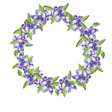 Lila bellflowers ve yeşil beyaz arka plan üzerinde izole garland bırakır. El suluboya resim çekilmiş.