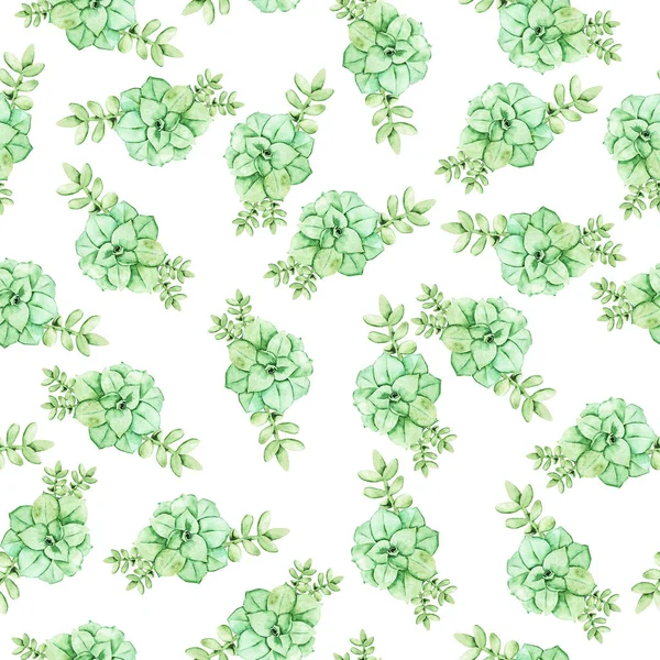 Vzor Bezešvé Zelené Sukulentní Rostliny Bílém Pozadí Ručně Tažené Akvarel — Stock fotografie