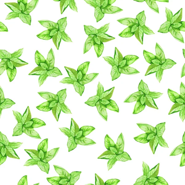 Wzór Świeżych Zielonych Roślin Białym Tle Ilustracja Akwarela — Zdjęcie stockowe