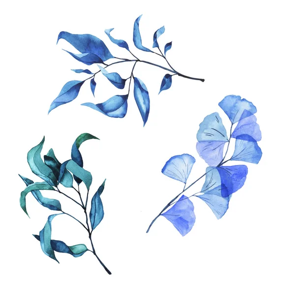 Набор Синих Ветвей Изолирован Белом Фоне Ручная Рисованная Акварель — стоковое фото