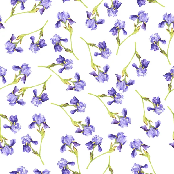 Vzor Bezešvé Iris Lila Květy Bílém Pozadí Ručně Tažené Akvarel — Stock fotografie