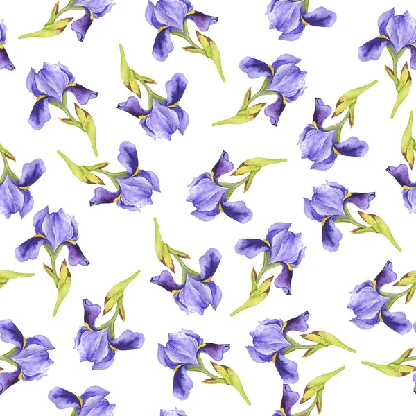 Vzor Bezešvé Lila Fleur Lis Květy Bílém Pozadí Ručně Tažené — Stock fotografie