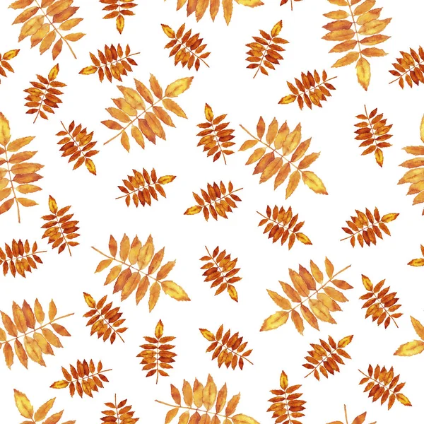 Seamless pattern with orange fall leaves on white background. Hand drawn watercolor illustration. — Stock Image Seamless Pattern Orange Fall Leaves White Background Hand Drawn Watercolor Royalty Free Stock Photos