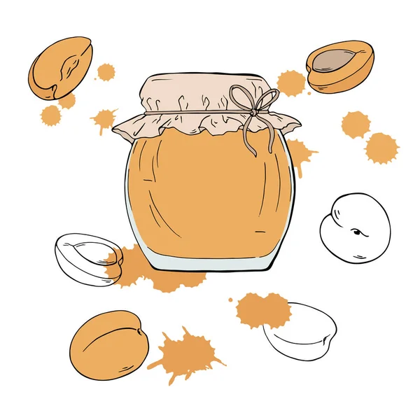 一组杏果和杏果酱罐在白色背景上与橙底色 手绘矢量图 — 图库矢量图片
