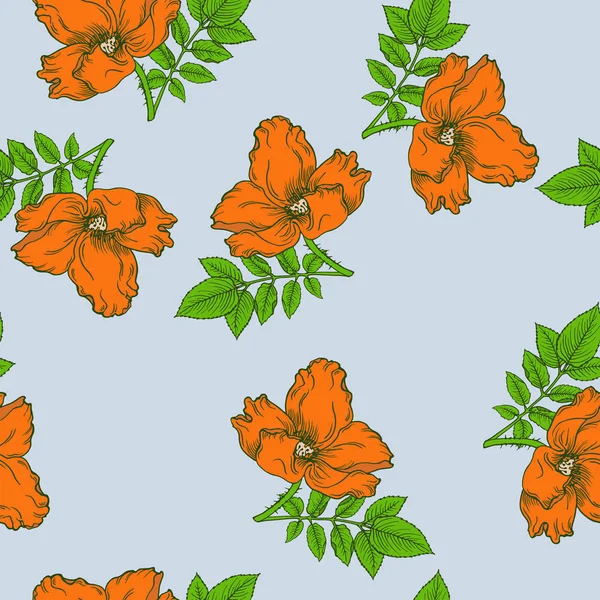Vzor Bezešvé Oranžovou Divokých Růží Zelené Listy Pastelově Modré Pozadí — Stockový vektor