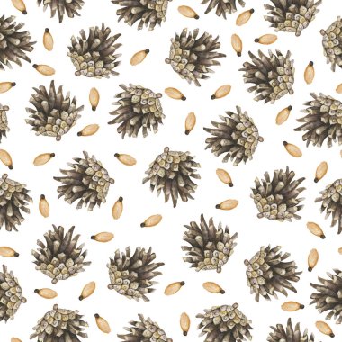 Beyaz arka planda kozalaklı ve çam tohumlu kusursuz desen. Sonbahar ya da kış tasarımı. El çizimi suluboya çizimi.