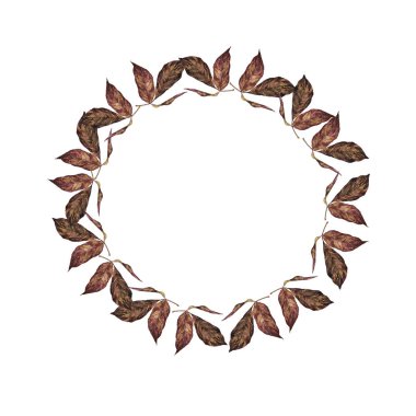 Sonbahar kahverengi yaprak çerçevesi beyaz arkaplanda izole edilmiş. El çizimi suluboya çizimi.