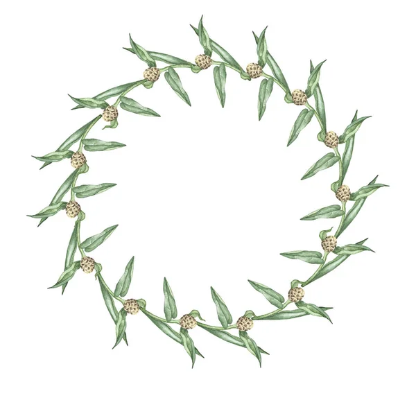 Brązowe Kwiaty Zielone Liście Ramki Izolowane Białym Tle Ręcznie Rysowane — Zdjęcie stockowe