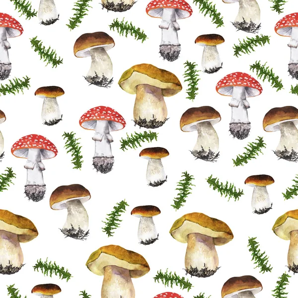 Seamless Pattern Agaric Forest Mushrooms White Background Hand Drawn Watercolor — Stock Photo, Image