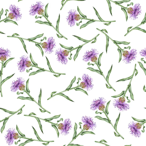 Nahtloses Muster Mit Sommerlila Blüten Auf Weißem Hintergrund Handgezeichnete Aquarell — Stockfoto