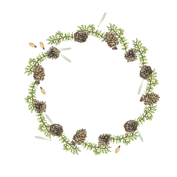 Pine branches and cones frame isolated on white background. Hand drawn watercolor illustration.