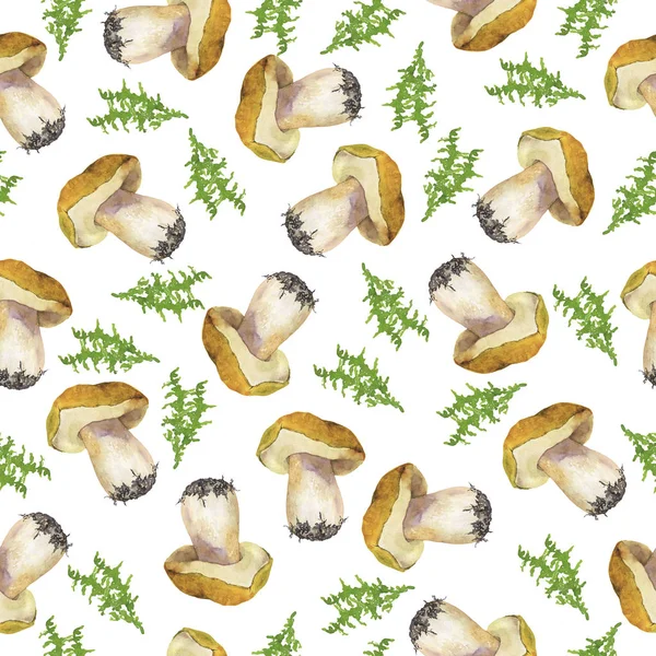 Seamless Pattern Wild Forest Mushrooms Green Leaves White Background Hand — 스톡 사진