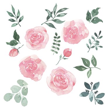 Beyaz arka planda izole edilmiş pastel pembe güller, yeşil yapraklar ve dallar. El çizimi suluboya çizimi.