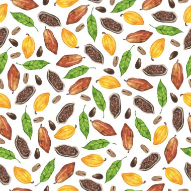 Kahverengi ve sarı kakao kabukları, yapraklar ve fasulyeler beyaz arka planda. El çizimi suluboya çizimi.