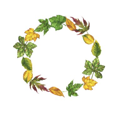 Dekoratif sonbahar yeşillik çerçevesi beyaz arkaplanda izole edilmiş. El çizimi suluboya çizimi.