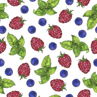 Beyaz arka planda taze ahududu, yaban mersini ve yeşil fesleğen yapraklı kusursuz desen. El çizimi suluboya ve mürekkep çizimi.