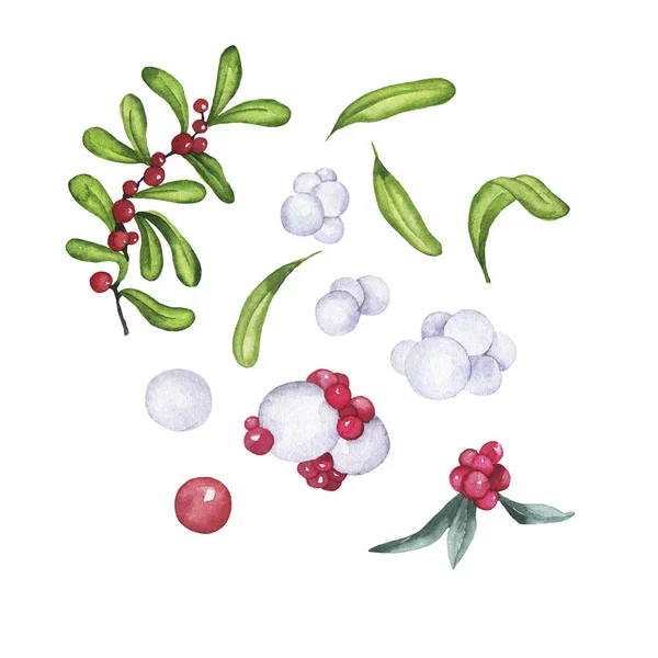 Uppsättning Vinterväxter Röda Och Vita Bär Och Gröna Blad Isolerade — Stockfoto