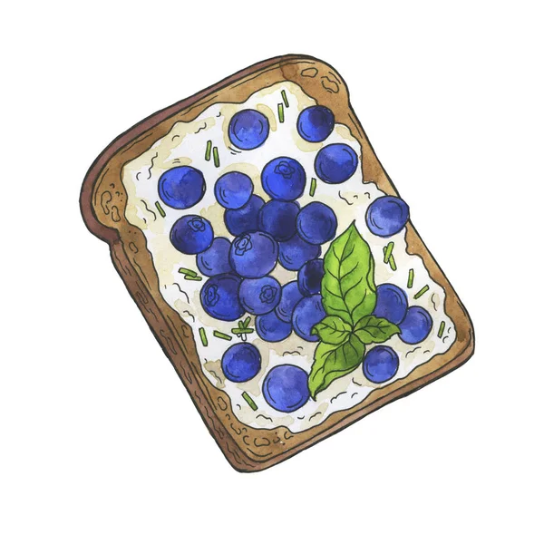 Toast Avec Ricotta Bleuets Isolés Sur Fond Blanc Aquarelle Illustration — Photo