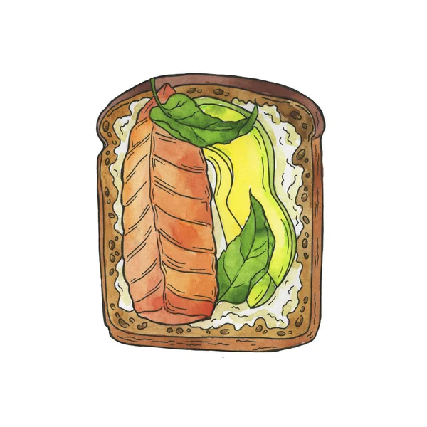 鳄梨和香草三明治 在白色背景下分离 手绘水彩画和油墨插图 — 图库照片