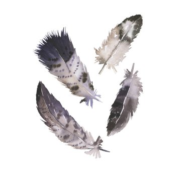 Beyaz arka planda izole edilmiş dekoratif gri tüyler. El çizimi suluboya çizimi.