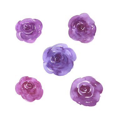 Beyaz arkaplanda karalama mor ve menekşe çiçekleri var. El çizimi suluboya çizimi.