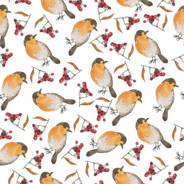 白い背景にかわいいロビン鳥や赤いベリーの枝とシームレスなパターン 手描き水彩画 — ストック写真