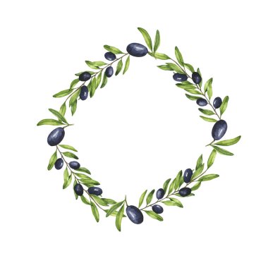 Koyu zeytin dalları beyaz arka planda izole edilmiş. El çizimi suluboya çizimi.