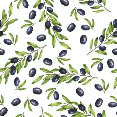Koyu zeytin dalları beyaz arka planda izole edilmiş. El çizimi suluboya çizimi.