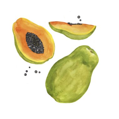 Beyaz arka planda izole edilmiş papaya parçaları. El çizimi suluboya çizimi.