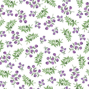 Kusursuz desenli, karalama leylağı üzümü ve beyaz arka planda yeşil yapraklı. El çizimi suluboya çizimi.