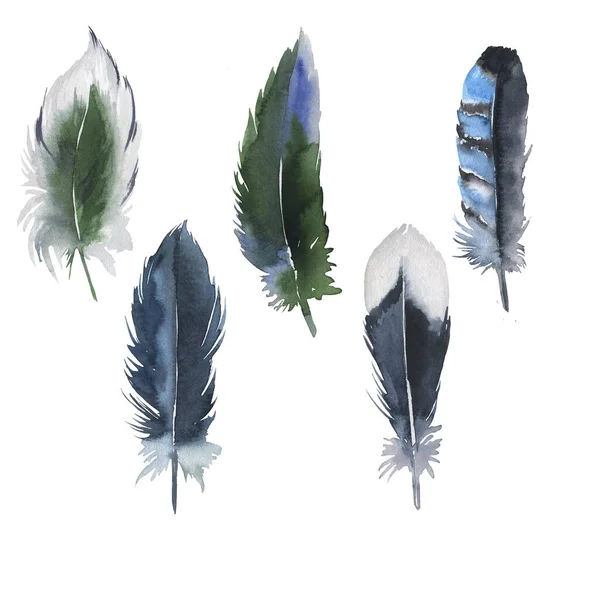 Set of green and blue wild bird feathers isolated on white background. Hand drawn watercolor illustration.