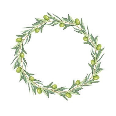 Yeşil zeytin yuvarlak çerçeve beyaz arka planda izole. El çizimi suluboya çizimi.