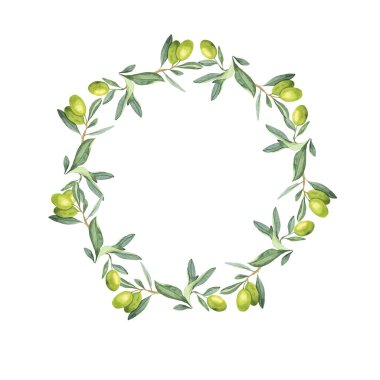 Yeşil zeytin sınırı beyaz arka planda izole edilmiş. El çizimi suluboya çizimi.
