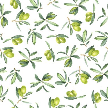 Taze zeytin dalları ve beyaz arka planda böğürtlenleri olan kusursuz desenler. El çizimi suluboya çizimi.