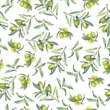 Beyaz arka planda böğürtlenli zeytin dalları olan pürüzsüz bir desen. El çizimi suluboya çizimi.