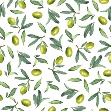 Yeşil zeytin dalları, yapraklar ve böğürtlenler beyaz arka planda. El çizimi suluboya çizimi.