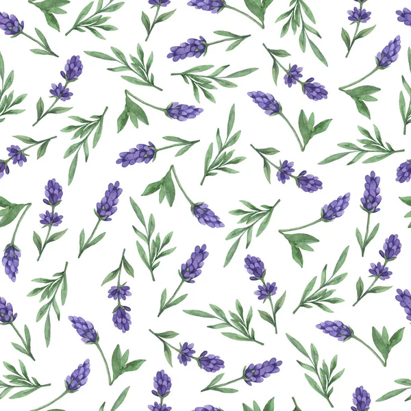 Seamless Pattern Lilac Lavender Flowers Green Leaves White Background Hand — Stock Photo, Image