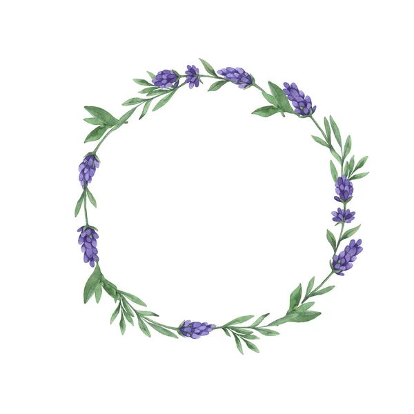 Flores Lavanda Violeta Folhas Verdes Quadro Redondo Isolado Fundo Branco — Fotografia de Stock