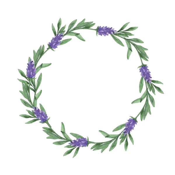 Lilac Lavender Flowers Green Leaves Frame Isolated White Background Hand — Stock Photo, Image