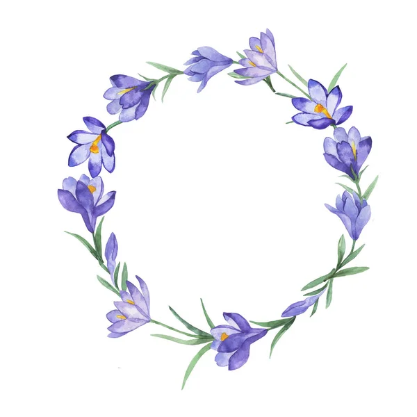Frühlingsflieder Krokusblüten Rahmen Isoliert Auf Weißem Hintergrund Handgezeichnete Aquarell Illustration — Stockfoto