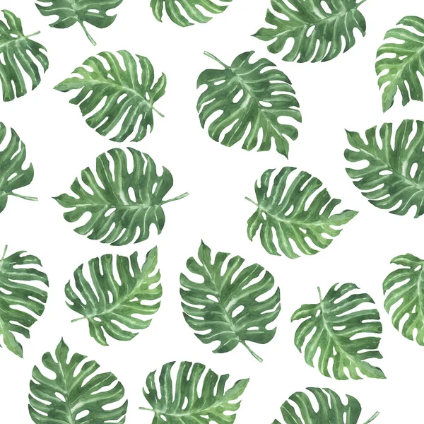 Seamless Pattern Tropical Monstera Leaves White Background Hand Drawn Watercolor — Stock Photo, Image