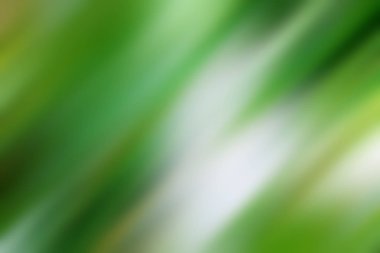 Soyut degrade hareket ışık arka plan bulanık. Renkli çizgi