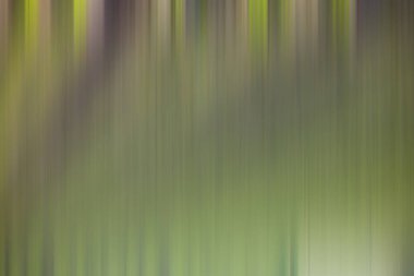 Soyut degrade hareket ışık arka plan bulanık. Renkli çizgi