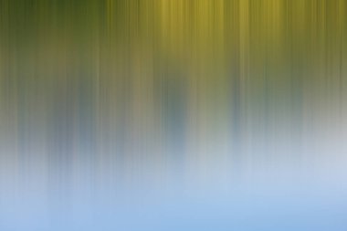 Soyut degrade hareket ışık arka plan bulanık. Renkli çizgi