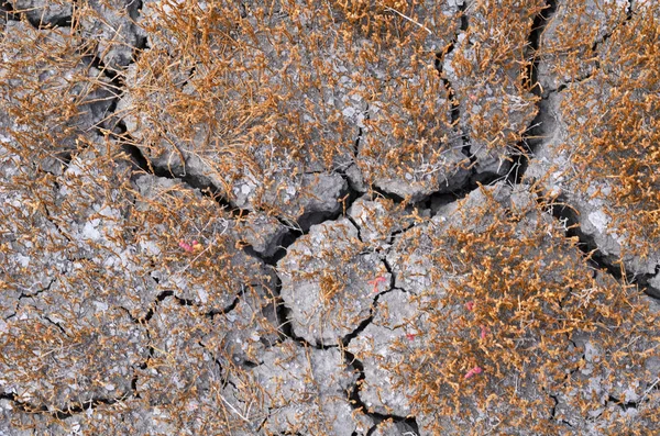 Popraskané půdy, suché zemi bez deště. Stock Fotografie