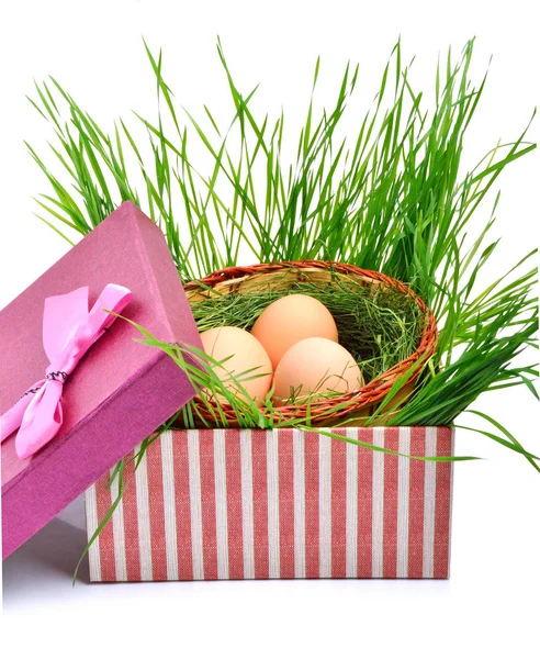 Nido verde con uova nella confezione regalo — Foto Stock
