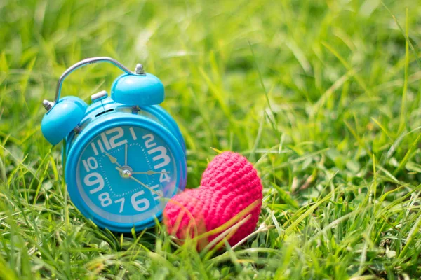 Kalp ve çim Bahçe arka plan, seçici odak saati.