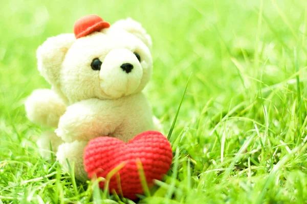 White pool bear with love letter on red heart on green grass gar — Stock Photo, Image